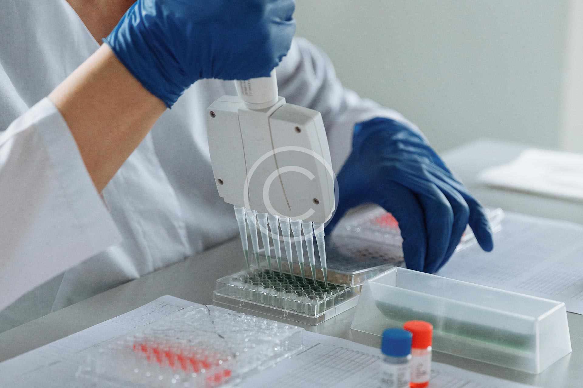 Complete Blood Count 1 Complete Blood Count