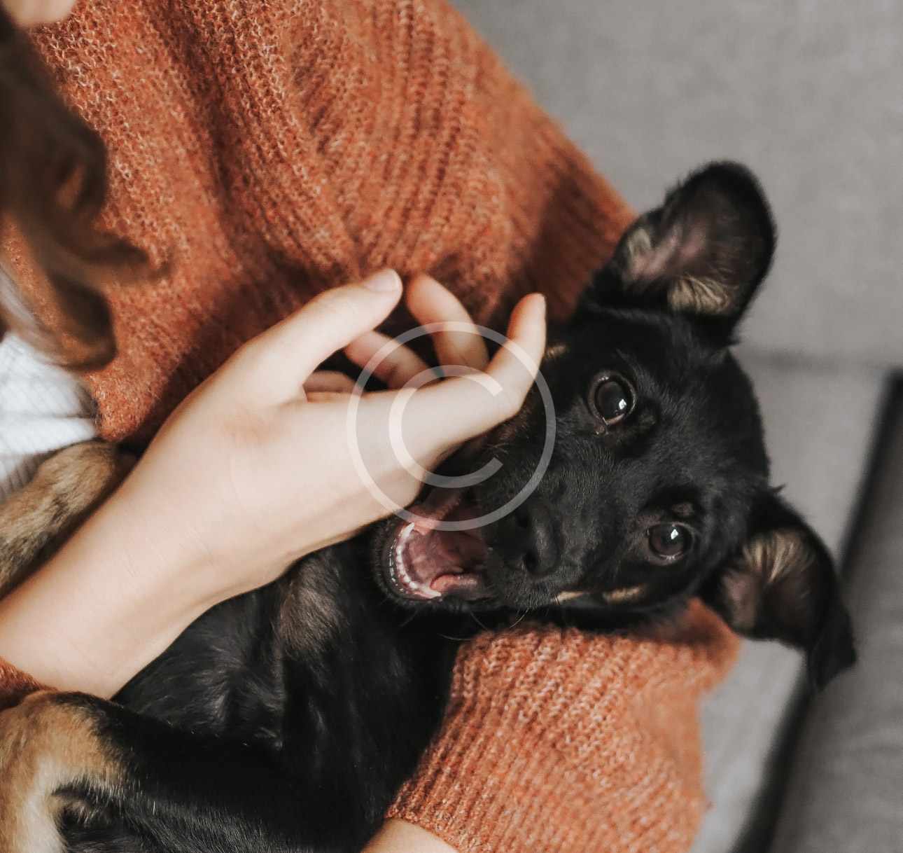 Dental Care 1 Dental Care