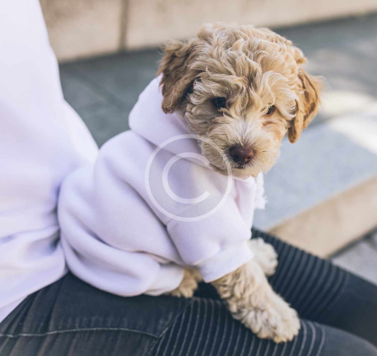 Vaccinations 1 Vaccinations