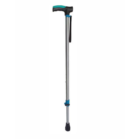 Monowalk Stick