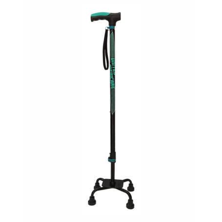 Quadripod Walk Stick