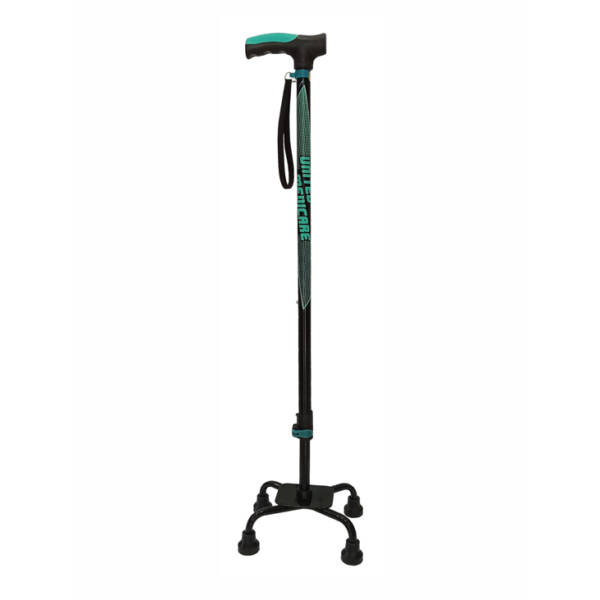 Quadripod Walk Stick